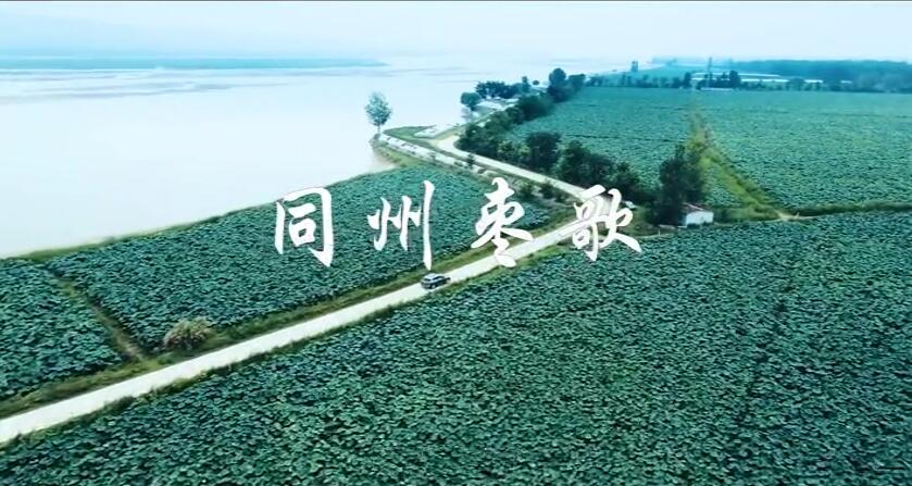 同州棗歌