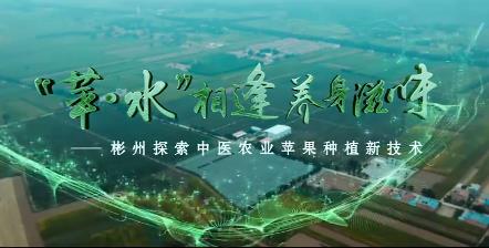 “蘋水”相逢 養身滋味