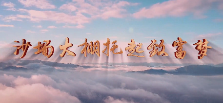 沙場大棚托起致富夢