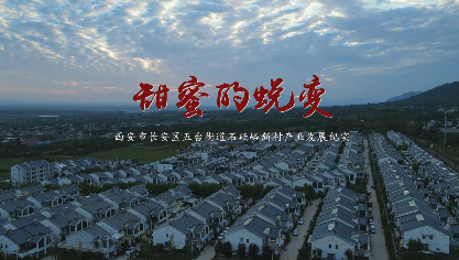 甜蜜的蛻變
