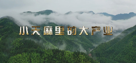小天麻里的大產業