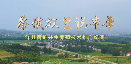 蔡侯故里說豐年7