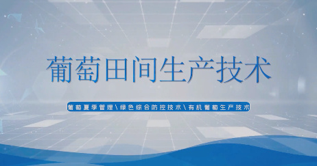 農業小課堂——葡萄田間...15