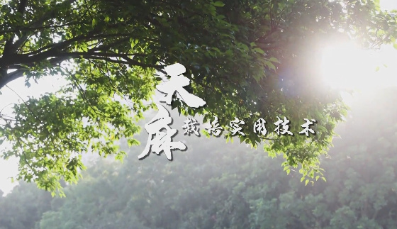 天麻栽培實用技術8