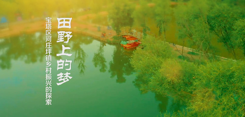 田野上的夢