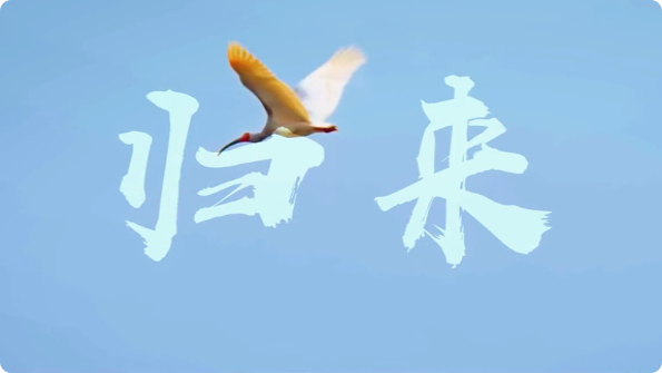 歸來2