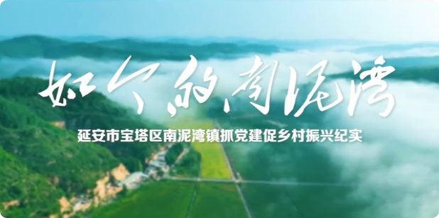 如今的南泥灣6