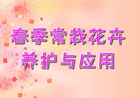 春季常栽花卉養護與應用11