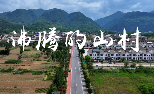 沸騰的山村