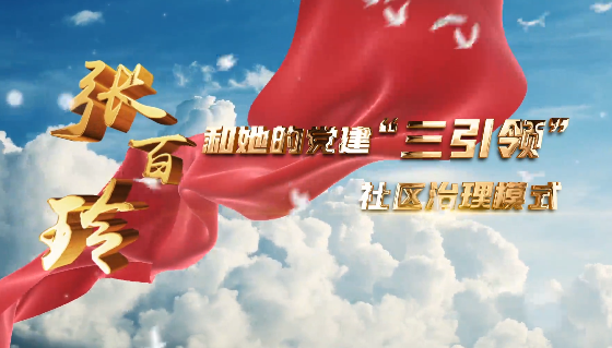 張百玲和她的黨建“三引...