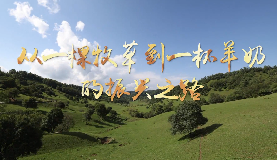 從一棵牧草到一杯羊奶的...15