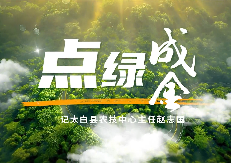 點(diǎn)綠成金4