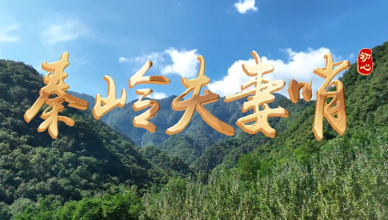 秦嶺夫妻哨5