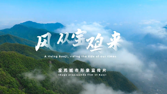風(fēng)從寶雞來
