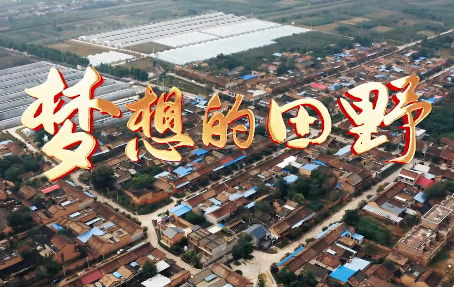 夢想的田野