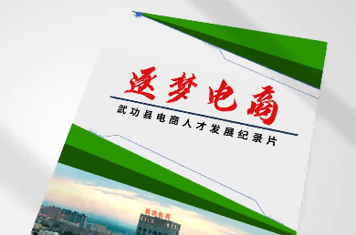 逐夢電商