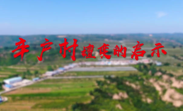 辛戶村嬗變的啟示