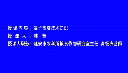 谷子高培技術培訓8