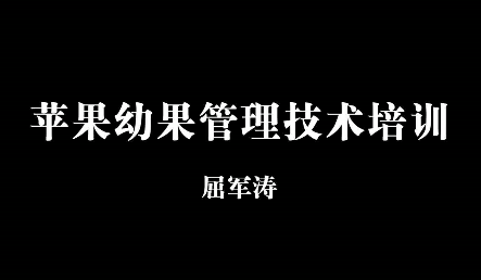 蘋果幼果管理技術培訓10