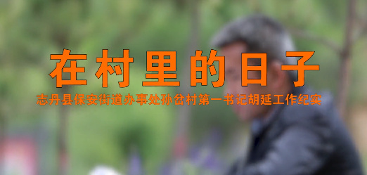 在村里的日子6