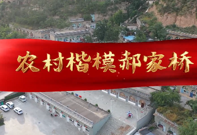 農村楷模郝家橋7