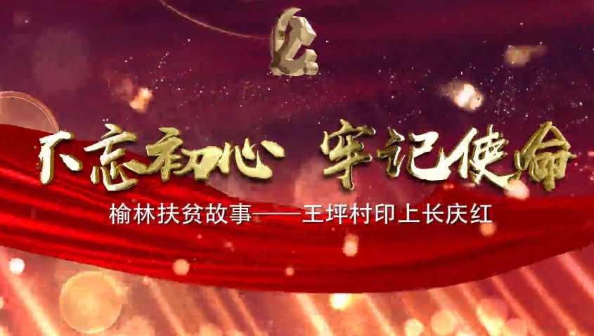 王坪村印上長慶紅8
