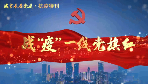 戰“疫”一線黨旗紅9