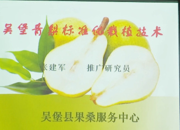 吳堡青梨標準化栽植技術...13