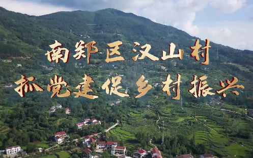 南鄭區(qū)漢山村抓黨建促鄉(xiāng)...14