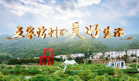 王家灣村的美好生活