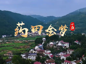 藥田金夢