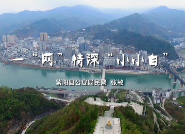 一“網”情深“小小白”11
