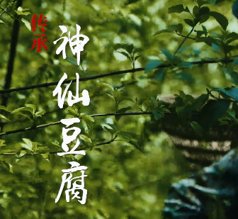 傳承神仙豆腐6