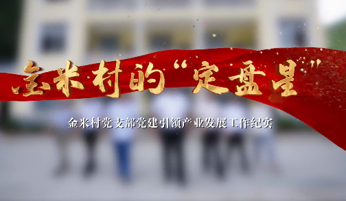 金米村的“定盤星”9