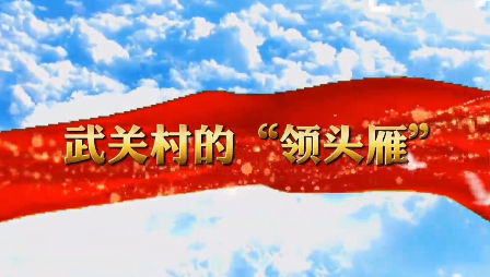 武關村的“領頭雁”9