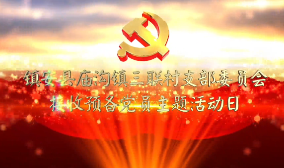 鎮(zhèn)安縣廟溝鎮(zhèn)三聯(lián)村黨支...26