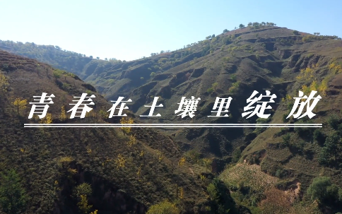 青春在土壤里綻放8