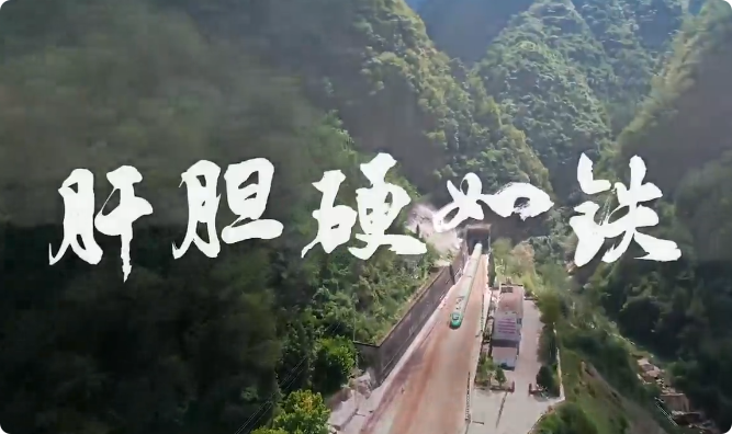 肝膽硬如鐵5
