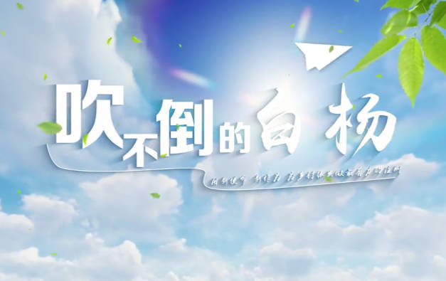吹不倒的白楊6