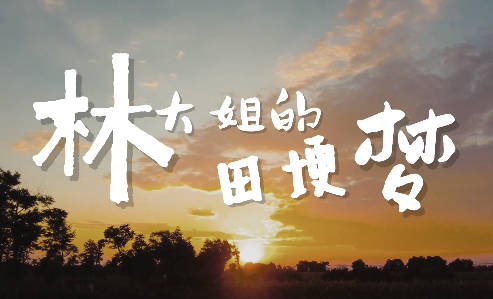 林大姐的田埂夢(mèng)7