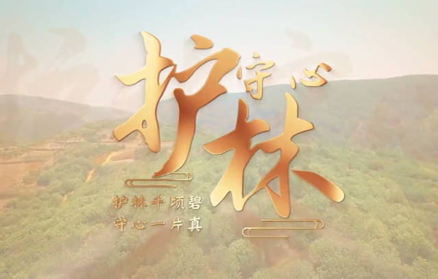 護(hù)林守心4