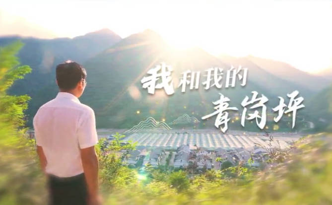 我和我的青崗坪