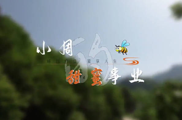 小周的甜蜜事業