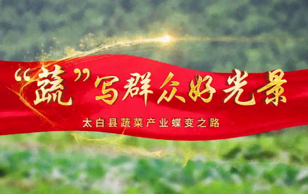 “蔬”寫群眾好光景