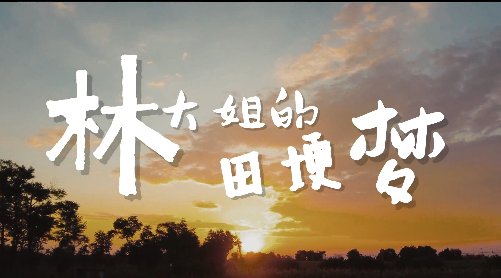 林大姐的田埂夢