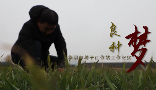 良種夢