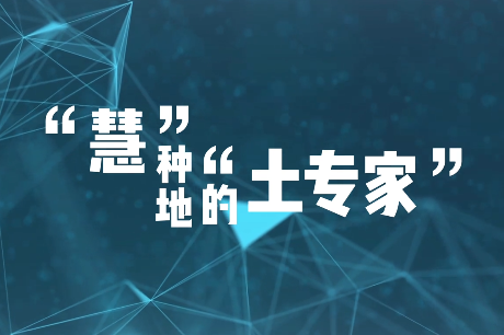 “慧”種地的“土專家”