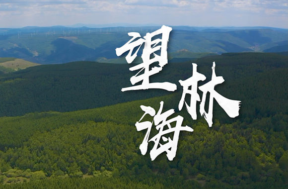 望林海3