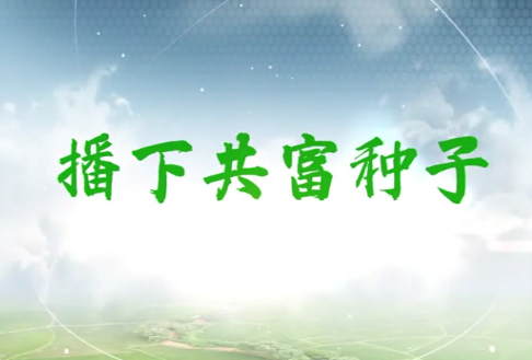 播下共富種子