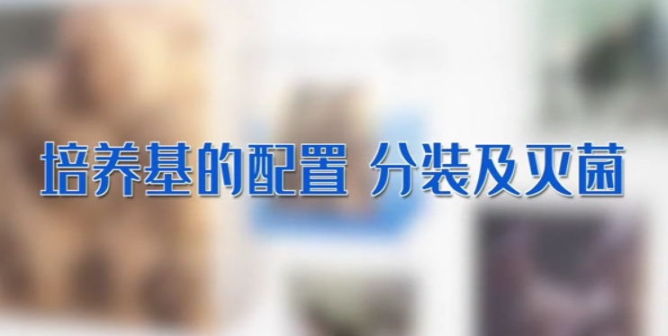 培養基的配置 分裝及滅菌